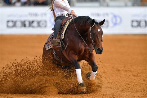 Reining Master reining maneuvers with help from professionals like Bud Lyon, Peter DeFreitas, Keith Ceddia, and Ryan Rushing. . Top reining horse riders